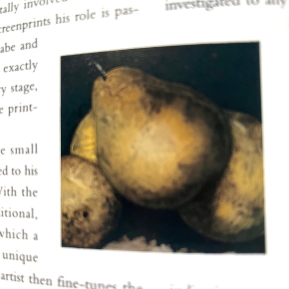 Donald Sultan: A Print Restrospectove. 95 pages. 10 x 10 inches. A beauty! - Picture 5 of 12